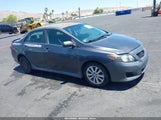 TOYOTA COROLLA LE/S/XLE 1NXBU4EE1AZ381517 photo
