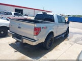 FORD F-150 FX2 SPORT/XL/XLT 1FTEW1C88AKE42204 fotografie