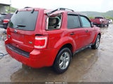 Ford Escape Xlt 1FMCU9DG6BKB81928 снимка
