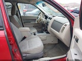 Ford Escape Xlt 1FMCU9DG6BKB81928 fotografie