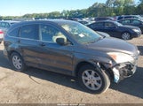 HONDA CR-V SE 5J6RE4H43BL075617 снимка