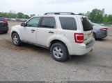 FORD ESCAPE XLT 1FMCU93779KA88945 снимка