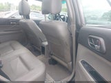 SUBARU FORESTER 2.5XS/XS W/PREMIUM PKG JF1SG65654H756554 fotografie