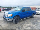 FORD F-150 XL/XLT 1FTEW1E84AFD74053 снимка