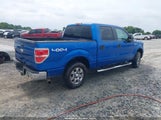 FORD F-150 XL/XLT 1FTEW1E84AFD74053 снимка