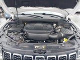 Jeep Grand Cherokee Wk Limited 4X4 1C4RJFBG3NC119698 fotografie