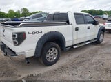 FORD F-150 XLT 1FTFW1ET1BKD79504 снимка