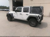 Jeep Wrangler 4-Door Summit 4X4 1C4PJXDN4SW540350 fotografie