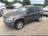 FORD ESCAPE XLT 1FMYU03185KB31812 снимка