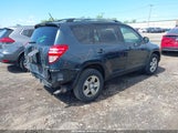 TOYOTA RAV4 2T3BF4DV4AW067721 fotografie