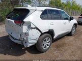 TOYOTA RAV4 LE 2T3F1RFV1LC101032 снимка