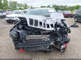 JEEP CHEROKEE TRAILHAWK 4X4 1C4PJMBX0LD588251 снимка
