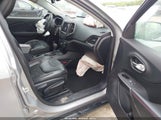 JEEP CHEROKEE TRAILHAWK 4X4 1C4PJMBX0LD588251 снимка