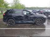 JEEP CHEROKEE ALTITUDE 4X4 1C4PJMLN7KD487994 снимка
