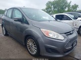 FORD C-MAX HYBRID SE 1FADP5AU5DL500600 снимка