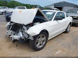 FORD MUSTANG V6 1ZVBP8AM4D5261559 снимка