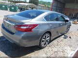 Nissan Altima 2.5 Sr 1N4AL3AP7HC146131 снимка