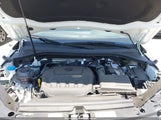 VOLKSWAGEN TIGUAN 2.0T SE/2.0T WOLFSBURG EDITION 3VVNB7AX4RM198923 fotografie