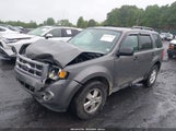 FORD ESCAPE XLT 1FMCU9DG1BKB18557 снимка