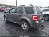 FORD ESCAPE XLT 1FMCU9DG1BKB18557 снимка