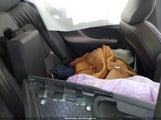 VOLVO XC40 B5 PLUS BRIGHT THEME YV4L12UE6S2563585 снимка