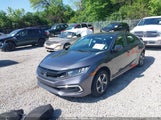 HONDA CIVIC LX 2HGFC2F62LH555607 снимка
