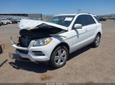 Mercedes-Benz Ml 250 Bluetec 4Matic 4JGDA0EB7FA498771 fotografie