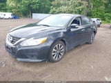 NISSAN ALTIMA 2.5 SV 1N4AL3AP2HC174645 снимка