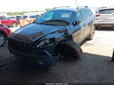 JEEP CHEROKEE TRAILHAWK 1C4PJMBSXGW123829 снимка