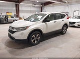 HONDA CR-V LX 5J6RW5H34HL006437 снимка