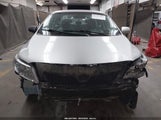 TOYOTA COROLLA LE 2T1BU4EE4AC342602 fotografie