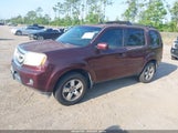 HONDA PILOT EX-L 5FNYF3H53BB022677 fotografie