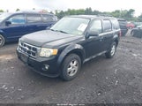 FORD ESCAPE XLT 1FMCU93709KA19708 снимка