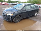 TOYOTA COROLLA LE 1NXBU4EE1AZ310432 снимка