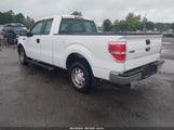 FORD F-150 XL 1FTEX1CM3BFC86478 снимка