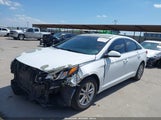 HYUNDAI SONATA 5NPE24AFXGH393836 снимка