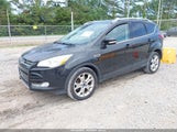 FORD ESCAPE TITANIUM 1FMCU0JX5FUB45531 fotografie