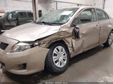 Toyota Corolla Le 1NXBU4EE1AZ292594 снимка