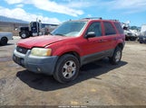 Ford Escape Xlt 1FMYU03134KA43507 снимка