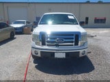 FORD F-150 XLT 1FTFW1EF9BKD41948 снимка