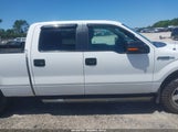 FORD F-150 XLT 1FTFW1EF9BKD41948 снимка