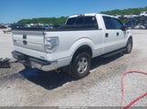 FORD F-150 XLT 1FTFW1EF9BKD41948 снимка