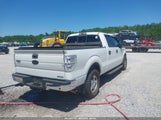 FORD F-150 XLT 1FTFW1EF9BKD41948 снимка