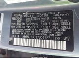 HYUNDAI VERACRUZ GLS/LIMITED/SE KM8NU13C17U011271 photo