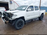 Toyota Tacoma Base V6 3TMLU42N19M034914 снимка