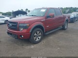 FORD F-150 FX4 1FTFW1ET3EKF44425 снимка