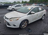 FORD FOCUS SE 1FADP3F20DL302583 fotografie