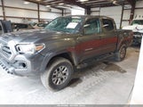 Toyota Tacoma Sr5 V6 3TMCZ5AN5GM029818 снимка