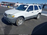 FORD ESCAPE XLS/XLS MANUAL 1FMYU02Z46KA72637 fotografie