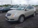 CADILLAC SRX LUXURY COLLECTION 3GYFNDEYXBS662434 снимка